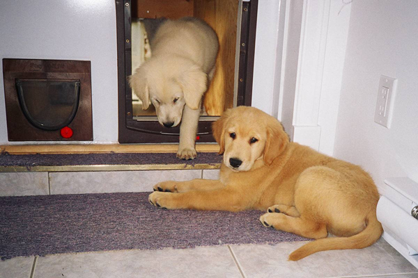 2004-09-11-merlin-soleil-2.jpg