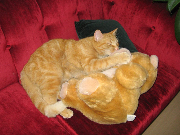 2006-youri-et-nounours.jpg