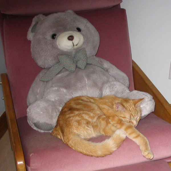 2006-youri-gros-nounours.jpg